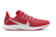 Nike Air Zoom Pegasus 36 Ohio State (CI2048-600) rot 3