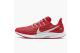 Nike Air Zoom Pegasus 36 Ohio State (CI2048-600) rot 1