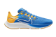Nike NFL x Air Zoom Pegasus 38 Los Angeles Chargers (DJ0816-400) bunt 2