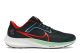 Nike Air Zoom Pegasus 40 Chicago Marathon (FN6816 328) schwarz 2