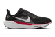 Nike Air Zoom Pegasus 41 Atlanta Falcons (IB3210-001) schwarz 3