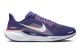 Nike Air Zoom Pegasus 41 (FZ5108-500) lila 1