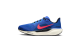 Nike Pegasus 41 Wide (FN4932-401) blau 1