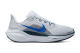 Nike Pegasus 41 (FD2723-006) bunt 2