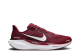 Nike Air Zoom Pegasus 41 (FZ5137 600) rot 3