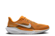 Nike Air Zoom Pegasus 41 (FZ5144 800) orange 1