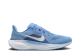 Nike Air Zoom Pegasus 41 (FZ5149 400) blau 3