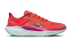 Nike Pegasus 41 GORE TEX (HM8872-600) rot 5