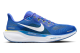 Nike Air Zoom Pegasus 41 (FZ5086-400) blau 1