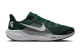 Nike Air Zoom Pegasus 41 Michigan State Spartans (IB3250-300) grün 3