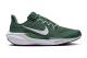 Nike Air Zoom Pegasus 41 TB Gorge Green (HF1538-300) grün 1