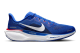 Nike Air Zoom Pegasus 41 (FZ5146-400) blau 1