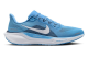 Nike Air Zoom Pegasus 41 (FZ5149 400) blau 1
