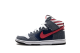 Nike SB Dunk Born In The USA Premium High (313171-100) bunt 1