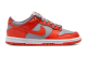 Nike Dunk Low (FB9109-011) bunt 2