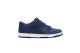 Nike Dunk Low GS (310569-406) blau 2