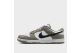 Nike Dunk Low (IB3079300) bunt 1