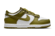 Nike Dunk Low Pacific Moss PS (FB9108 108) bunt 2