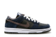 Nike Dunk Low Pro Sb (304292 403) blau 3