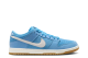 Nike Dunk Low Pro SB (FJ1674 401) blau 4