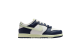 Nike Dunk Low (FB9108-127) bunt 1