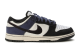 Nike Dunk Low Retro SE (HV4452-100) bunt 2