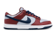 Nike Dunk Low (HF5441-003) bunt 2