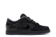 Nike Dunk Low What the Duck University of Oregon PE Ducks a Feather (HV1470 001) schwarz 6