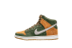 Nike Dunk High SB Ale Homegrown (839693-302) bunt 5