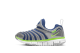 Nike Dynamo Free Gray Blue Green (343738-436) bunt 2