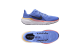 Nike Pegasus 41 (FD2723-402) blau 1
