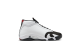 Jordan 14 Retro Toe 2024 (487471-160) bunt 3