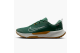 Nike Juniper Trail 2 Gore Tex Fir Desert Ochre Bright Crimson Light Silver (HM9734-301) grün 1