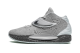 Nike KD 14 TB (DA7850-002) grau 2