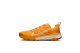 Nike Terra Kiger 9 (DR2694-800) orange 1