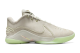 Nike LeBron XXII Dunkman (FZ1094-002) grau 5