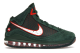 Nike LeBron 7 FAMU Gorge Green (DX8554-300) grün 2