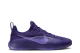 Nike LeBron TR 1 Rain (FJ6151 500) lila 4