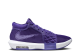 Nike LeBron Witness 8 TB Field (FB9944 500) lila 4