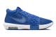 Nike LeBron Witness 8 TB (FB9944 401) blau 1