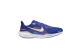Nike Air Zoom Pegasus 41 (FZ5074-400) blau 1