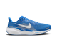 Nike Air Zoom Pegasus 41 Detroit Lions (FZ5087 400) blau 4