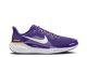 Nike Air Zoom Pegasus 41 (FZ5100 500) lila 2