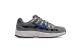 Nike P 6000 (IR5279-002) grau 1