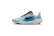 Nike Pegasus 41 (FN5041-109) bunt 6