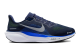 Nike Pegasus 41 (FD2722-400) bunt 1