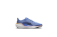 Nike Pegasus 41 (FN5041-403) blau 3