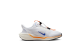 Nike Pegasus EasyOn Blueprint (HM0375-900) bunt 3