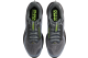 Nike Pegasus Premium (HQ2592-012) grau 2