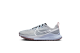 Nike Pegasus Trail 4 React (DJ6159-005) grau 1